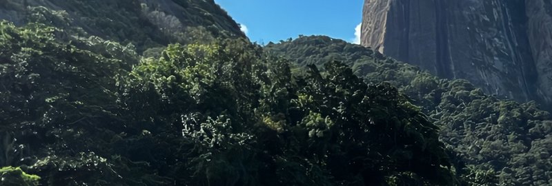Lush forested valley with a towering granite cliff on the right under a bright blue sky.