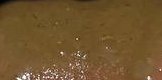 Blurred macro close up of glistening effervescent bubbles rising in warm brown carbonated beverage