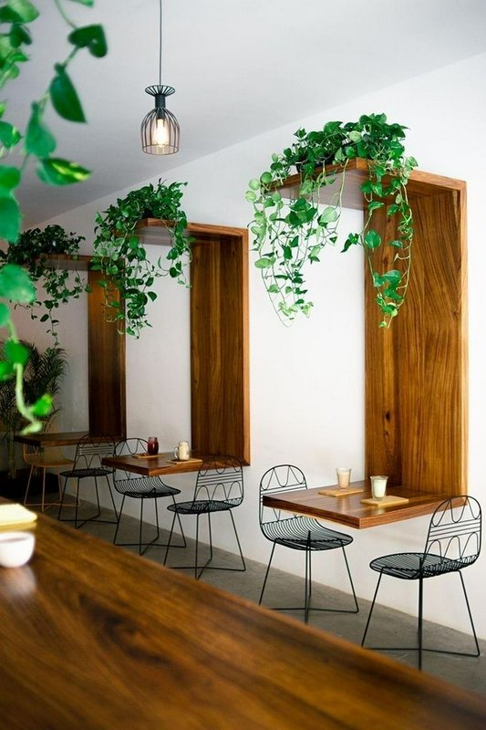 Minimalist cafe interior with wooden tables, black wire chairs, and cascading ivy under a pendant...