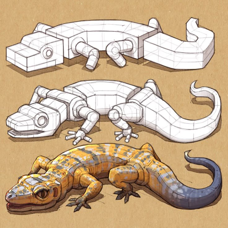 [3-stage gecko drawing tutorial showing progressive construction sketches and finished colored lizard art on tan kraft paper]