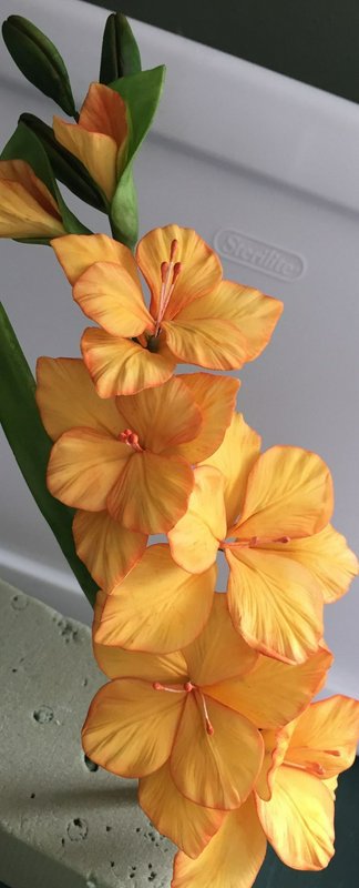Close up of handmade golden orange gladiolus stem with veined open blooms, unopened green buds, a...
