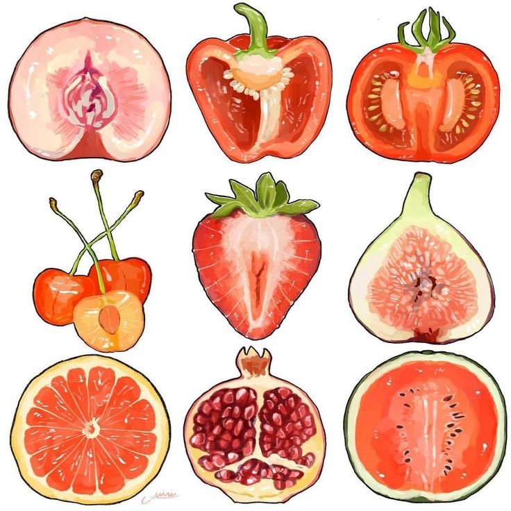 3x3 grid of hand-painted watercolor cross-sectioned red fruits and vegetables on a plain white ba...
