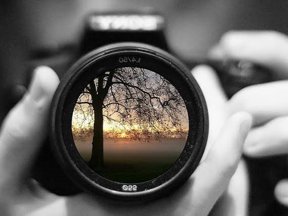[Close up of hands holding a DSLR camera, with a colorful sunset tree landscape visible through the lens, rest of frame mo...