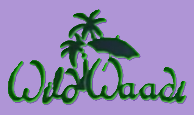 Logo with green cursive text "WildHoadl" on a purple background, featuring palm trees and a beach umbrella.
