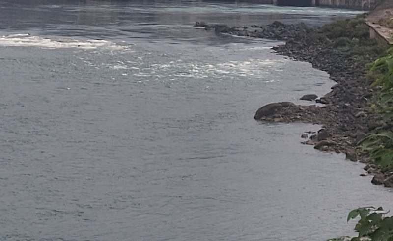 Rocky shoreline along a calm sea with green vegetation on the right.