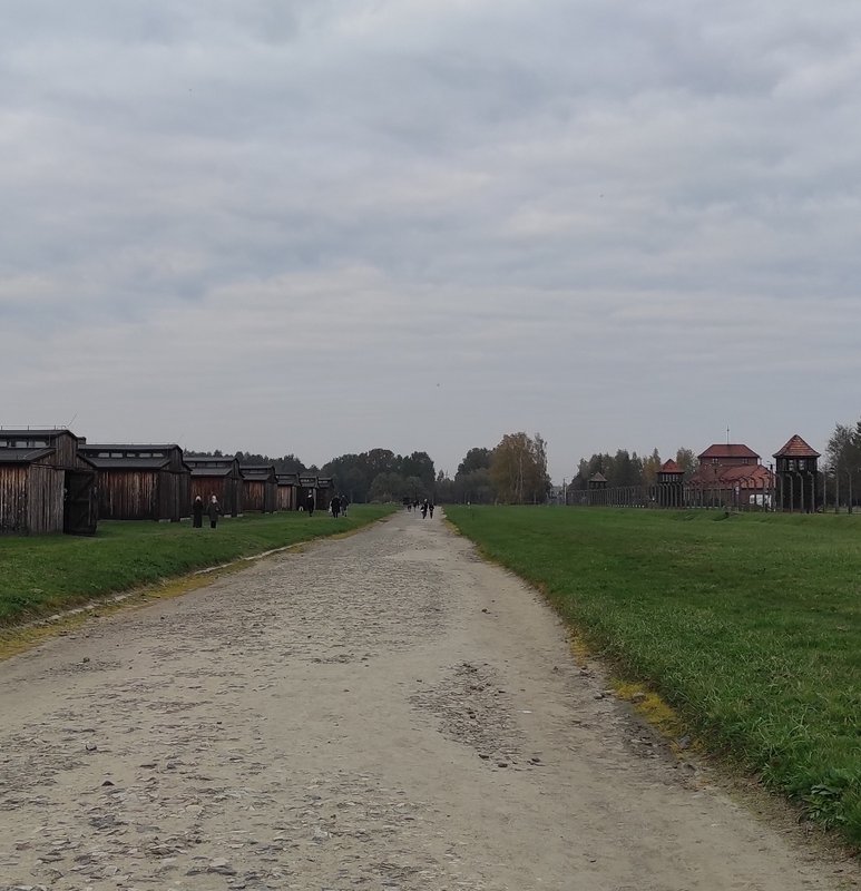 Wide cobblestone path stretching through Auschwitz Birkenau concentration camp grounds under an o...