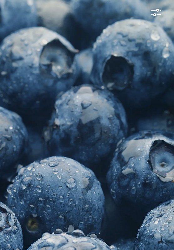 Close-up macro shot of plump fresh ripe blueberries covered in glistening clear water droplets, c...