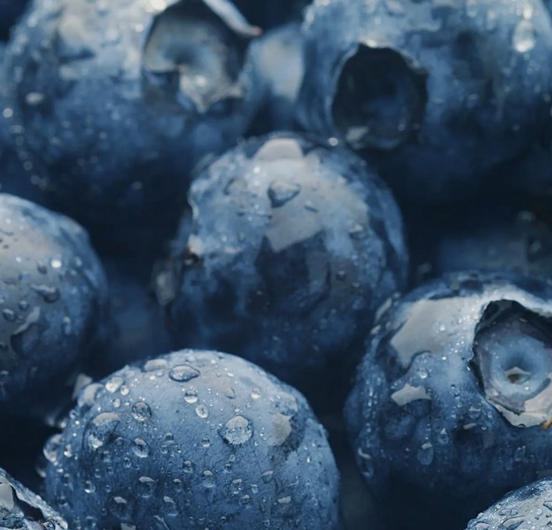 Macro close-up of plump ripe fresh blueberries dotted with glistening clear water droplets, cool ...