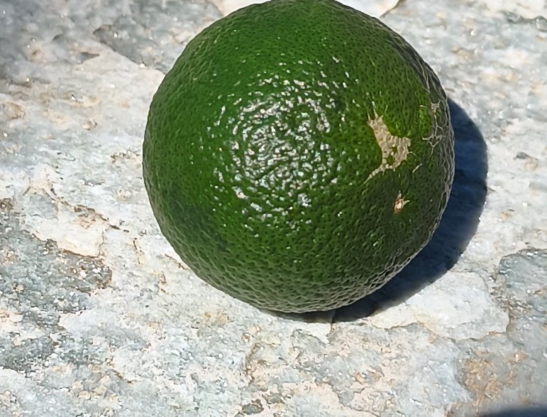 Whole textured green lime with a minor rind blemish rests on rough weathered stone in bright dire...