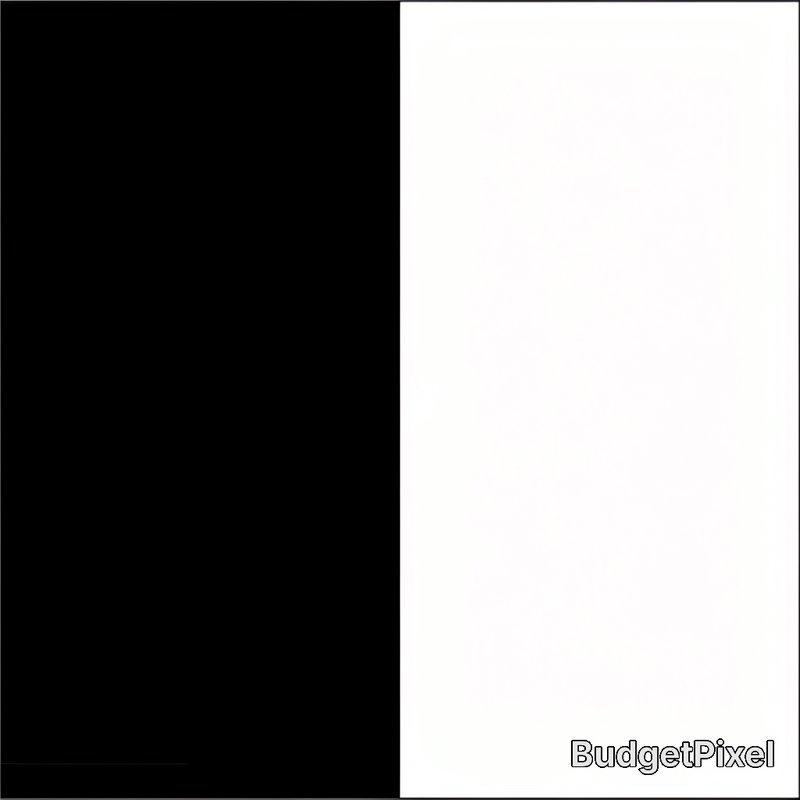 Vertical split minimalist background, solid black left panel, solid white right panel, thin borde...