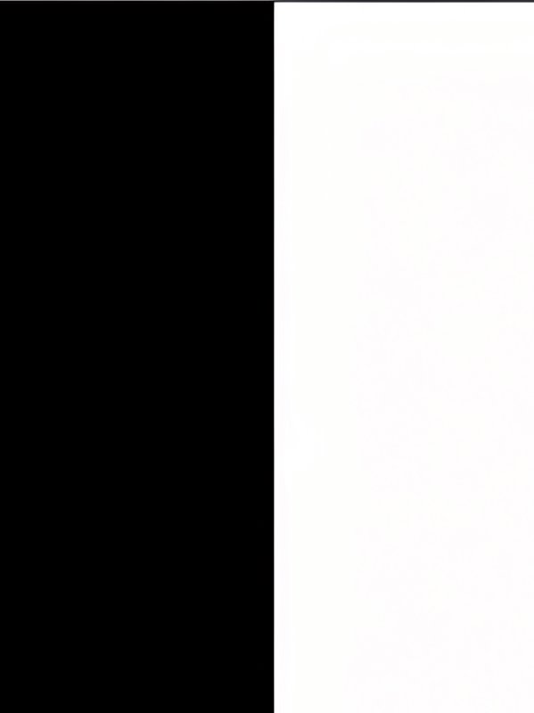Minimalist abstract graphic with a wide solid black vertical panel on the left, and a larger soli...