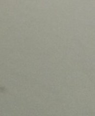 Full frame shot of a subtle textured matte pale greige plain interior wall surface with soft fine...