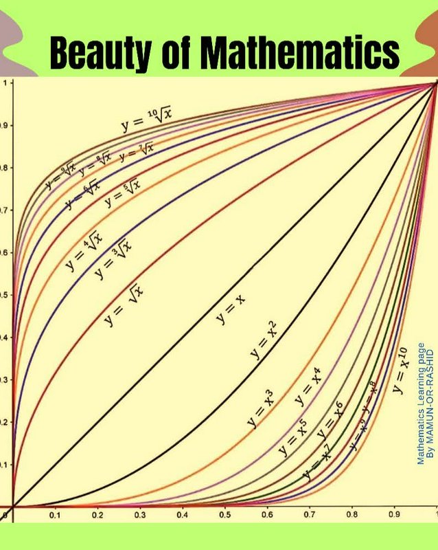 Educational "Beauty of Mathematics" graph plotting power and root mathematical functions on a 0-1...