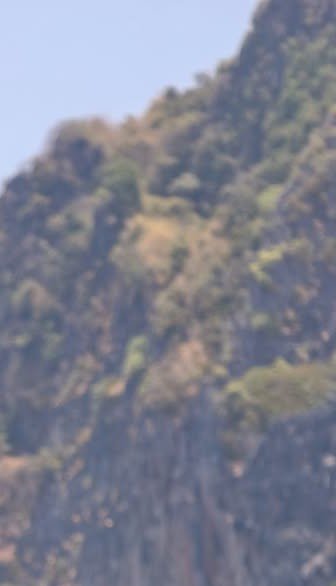 Blurred rocky cliff with dense trees on a steep mountain slope under a light blue sky.