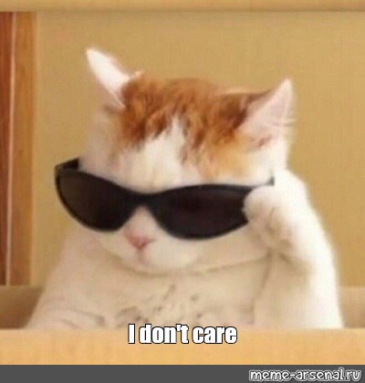 Cat wearing black sunglasses with a smug expression.