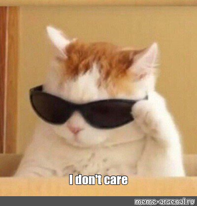 Cat wearing black sunglasses with a smug expression.