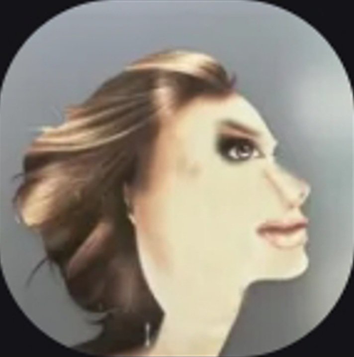 Stylized side-profile portrait of a woman with flowing brown hair against a gray background