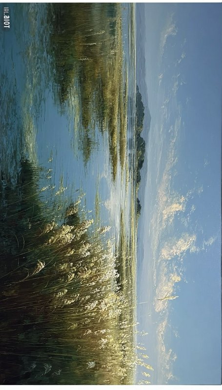 Tranquil wetland with tall reeds along calm water under a blue sky.