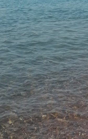 Overhead view of gentle rippling coastal water, gradient from clear shallow shoreline to soft tur...