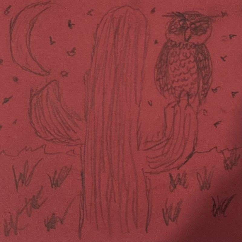 Hand drawn pencil sketch of an owl perched on a tree under a crescent moon on red paper
