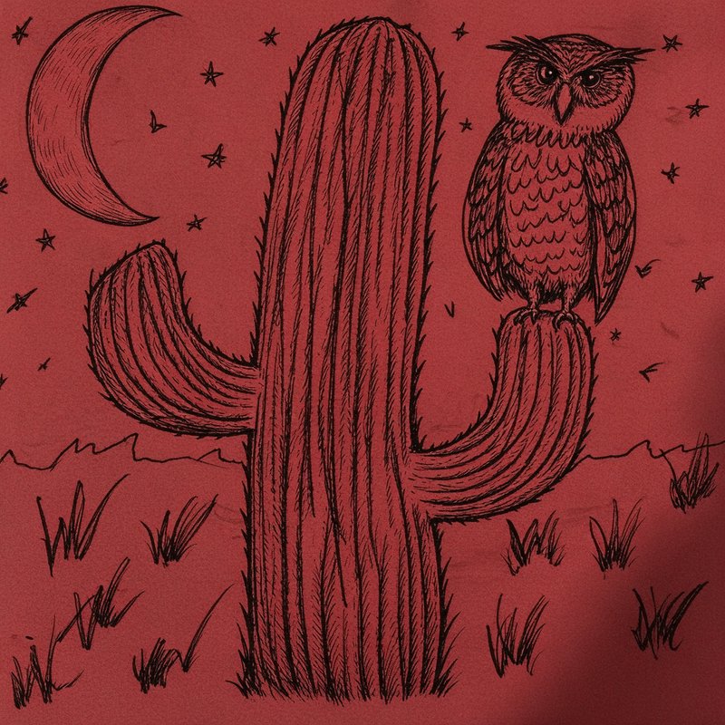 Ink sketch of an owl perched on a saguaro cactus under a crescent moon on a red desert night