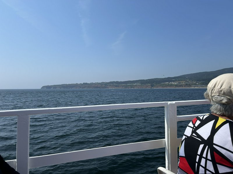 Sea view from a ferry with a white railing and a person wearing a colorful geometric-patterned shirt