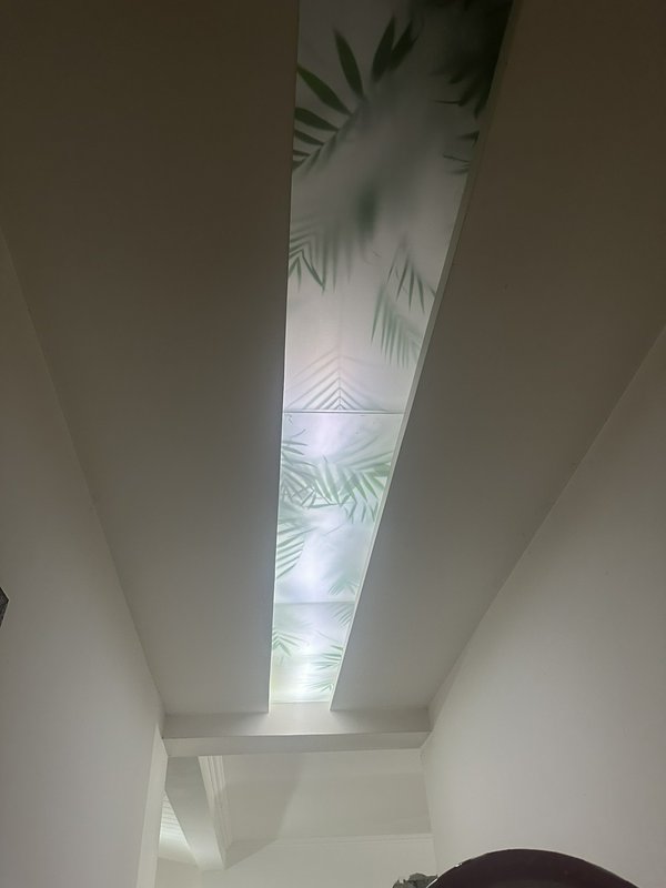 Long skylight panel in a white hallway with tropical leaf pattern illuminated from above