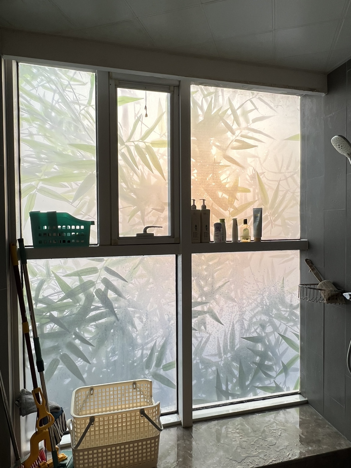 Bright bathroom shower area with frosted glass window featuring a bamboo leaf pattern and shelves of toiletries.