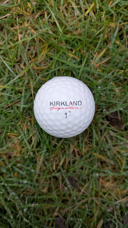 Overhead view of a dimpled Kirkland Signature #1 golf ball resting on dewy mixed green and brown ...