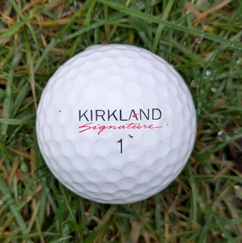 Close-up of a Kirkland Signature #1 dimpled golf ball resting on dewy wet grass.