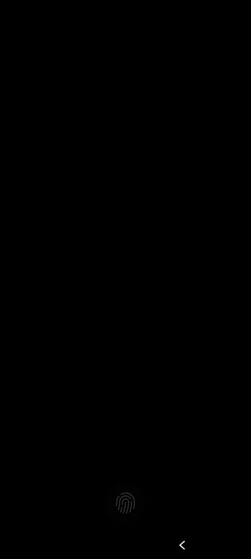 Close-up of a dark smartphone screen with a fingerprint icon at the bottom