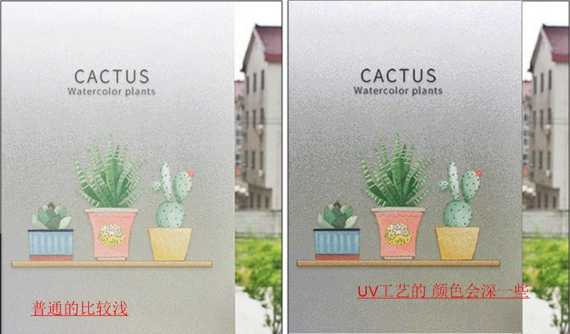Illustration of five potted cacti and succulents on a wooden shelf with the text "CACTUS Watercol...