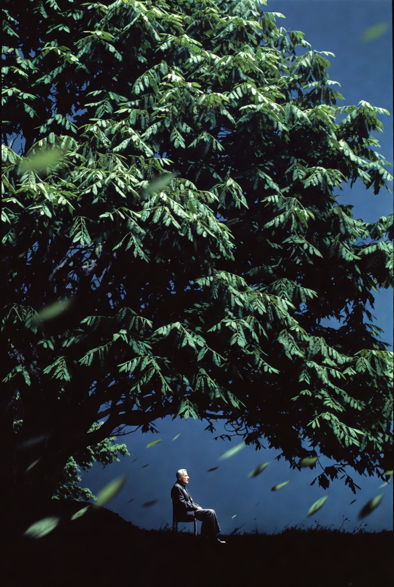 Elderly man sitting on a chair beneath a large leafy tree against a deep blue background.
