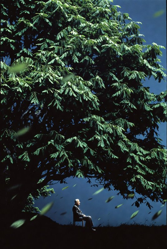 Elderly man sitting on a chair beneath a large leafy tree against a deep blue background.