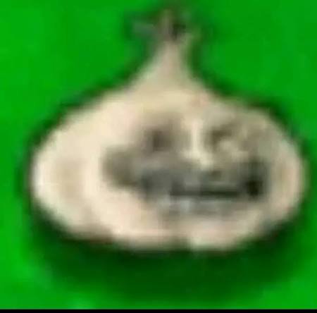 Blurry silver pendant on a bright green background.