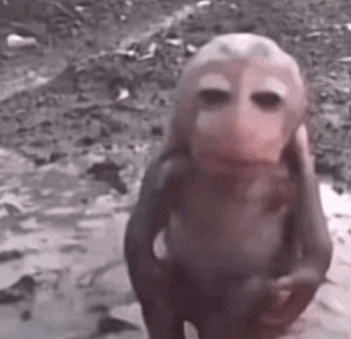 Blurry primate figure wearing a pale mask with dark eye holes on a muddy outdoor ground.