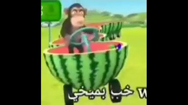 Monkey driving a watermelon-themed cart with a steering wheel in a sunny field.