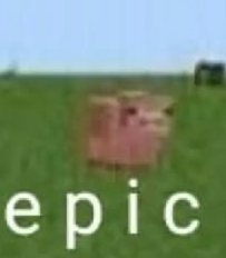 Pink pig standing in a green field under a blue sky with the word "epic" in white letters.