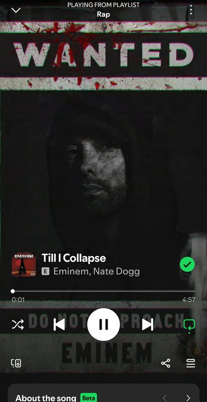 Dark hooded portrait with a red "WANTED" banner, Eminem's Till I Collapse artwork.