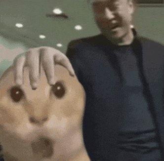 Wide-eyed surprised hamster with a finger optical illusion on its forehead stands next to a confu...