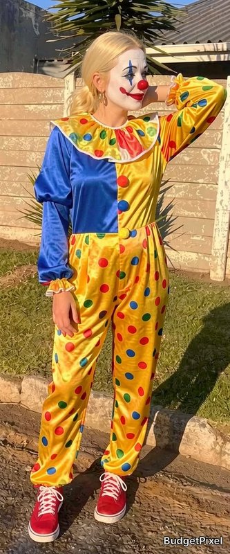 Clown in bright yellow and blue polka-dot costume with red nose and face makeup outdoors