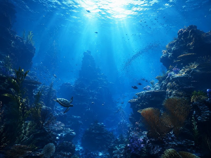 Sunbeams stream through clear blue ocean above a thriving coral reef, where a sea turtle swims alongside schools of