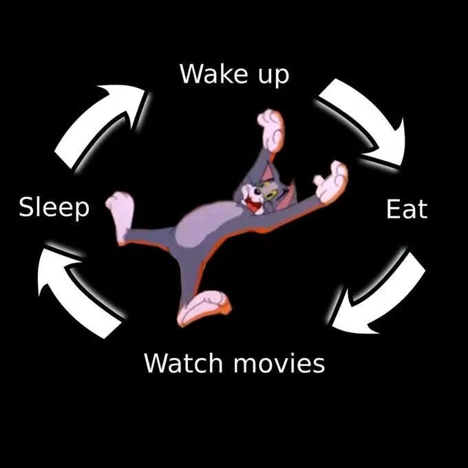 Relatable Tom and Jerry meme showing a lazy daily cycle: wake up, eat, watch movies, sleep.