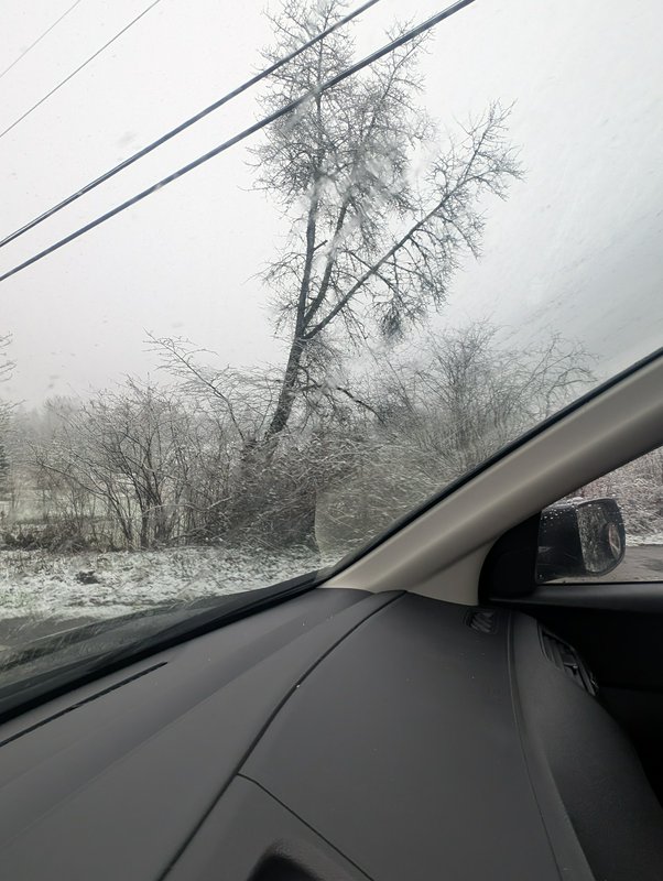 View from inside a car looking out a frosted windshield at snow-covered bare trees and overcast s...