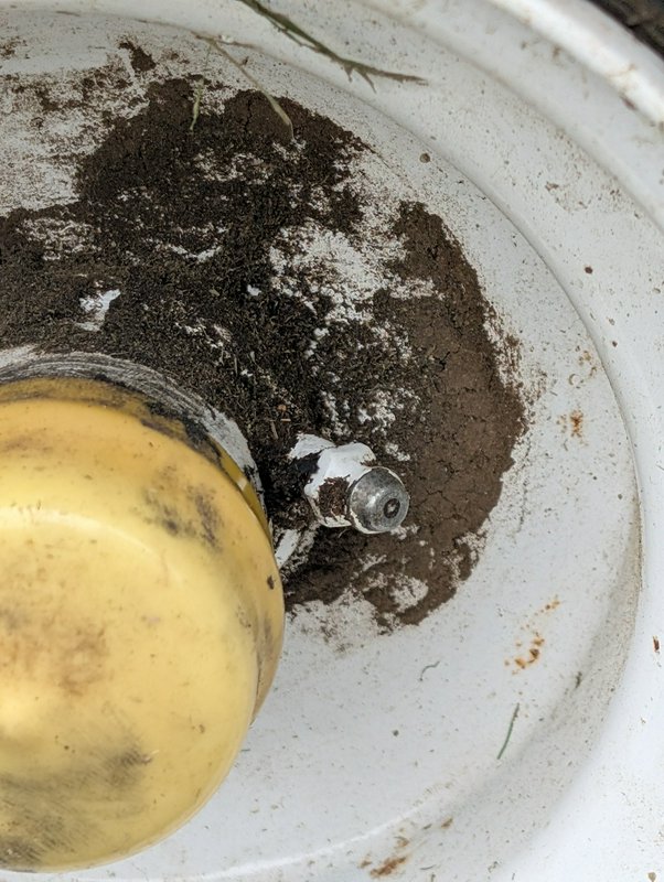 Close-up top view of muddy interior of a white automatic livestock waterer with yellow float and ...