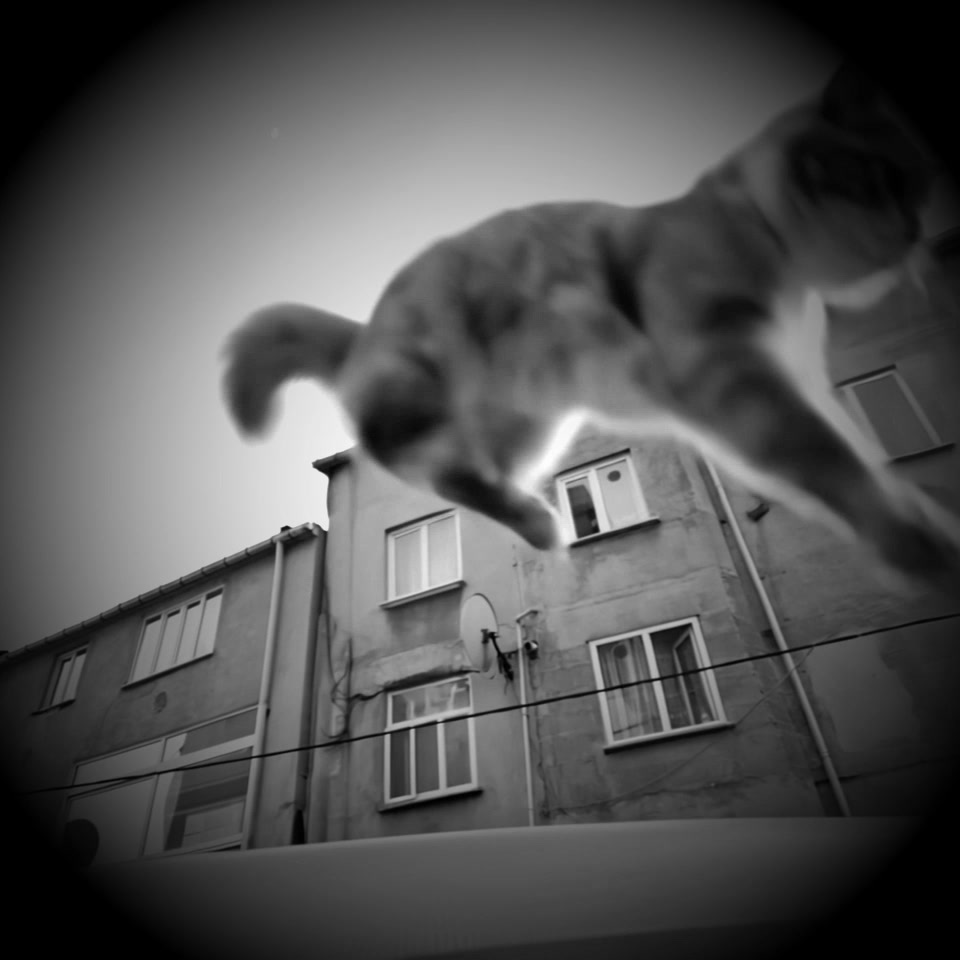 Trampoline Night AI video effect — example frame